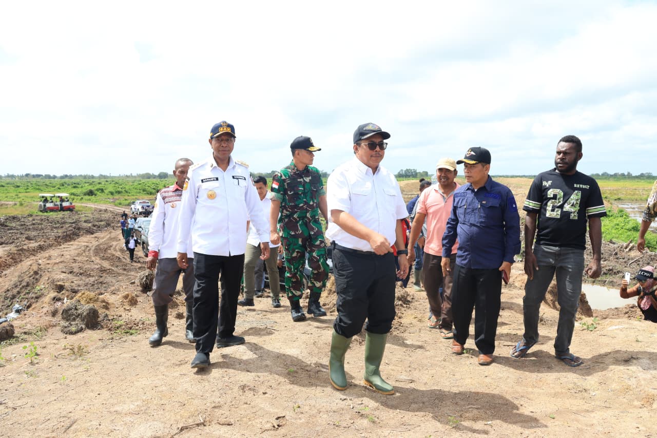 Gubernur Apolo-Ditjen Lahan dan Irigasi Tinjau Cetak Sawah di Waninggap Kai