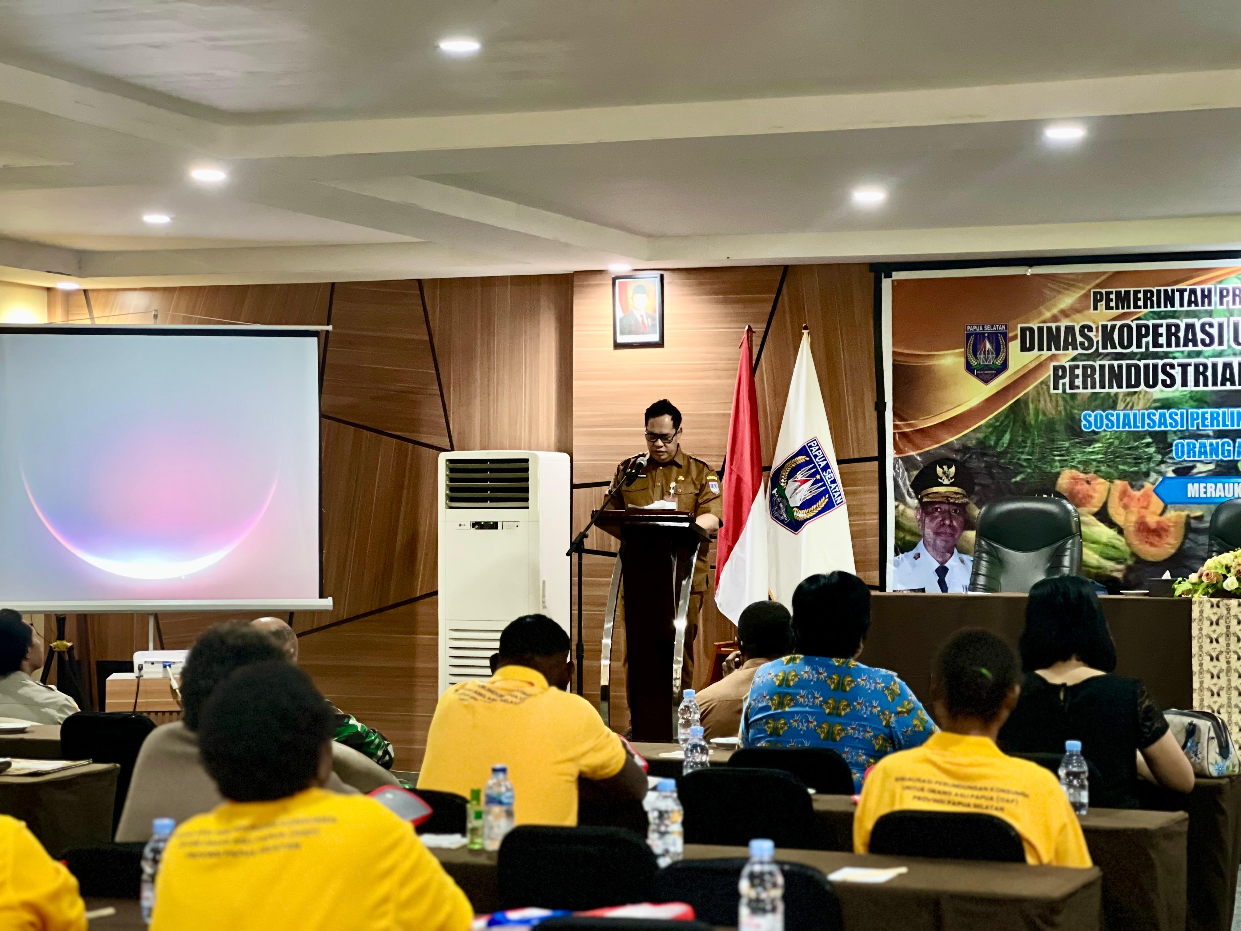 Pemprov Papua Selatan Tingkatkan Pemahaman Pelaku Usaha OAP